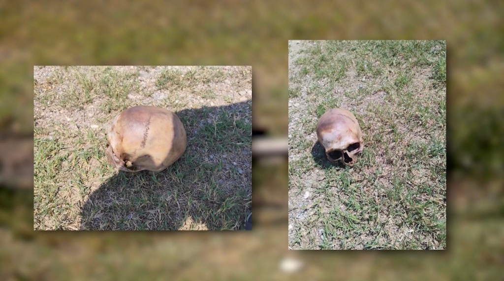 near-martinez-creek-remains