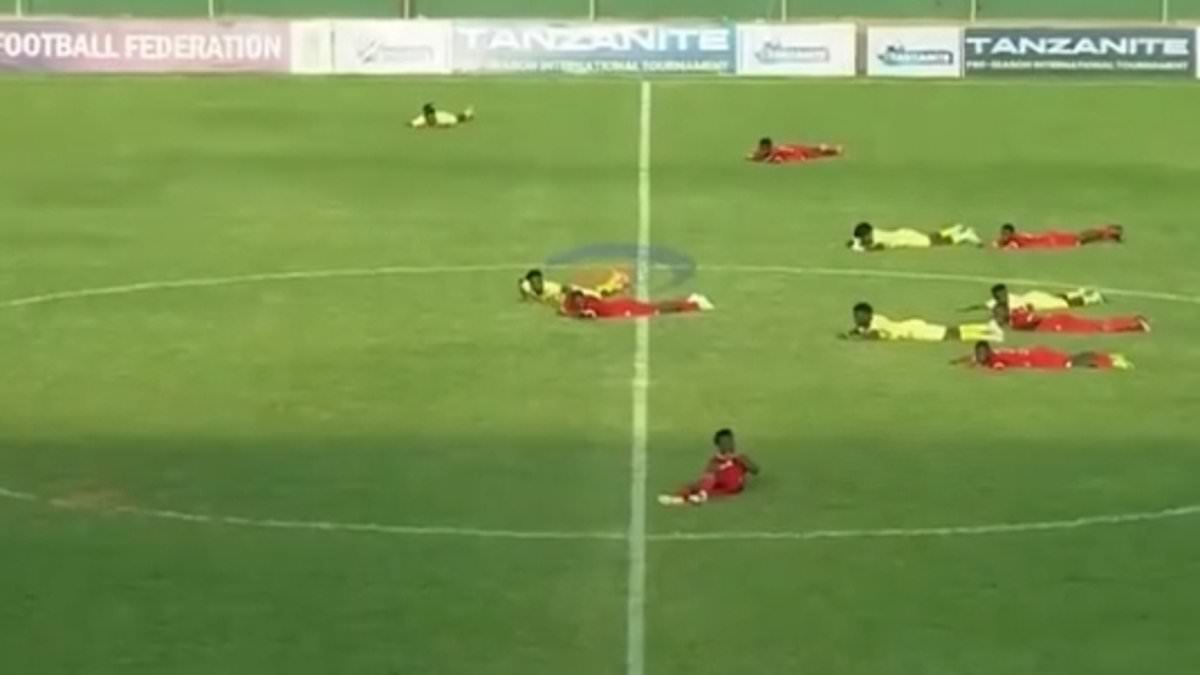 Match in Tanzania halted as players lie down to avoid swarm of bees
