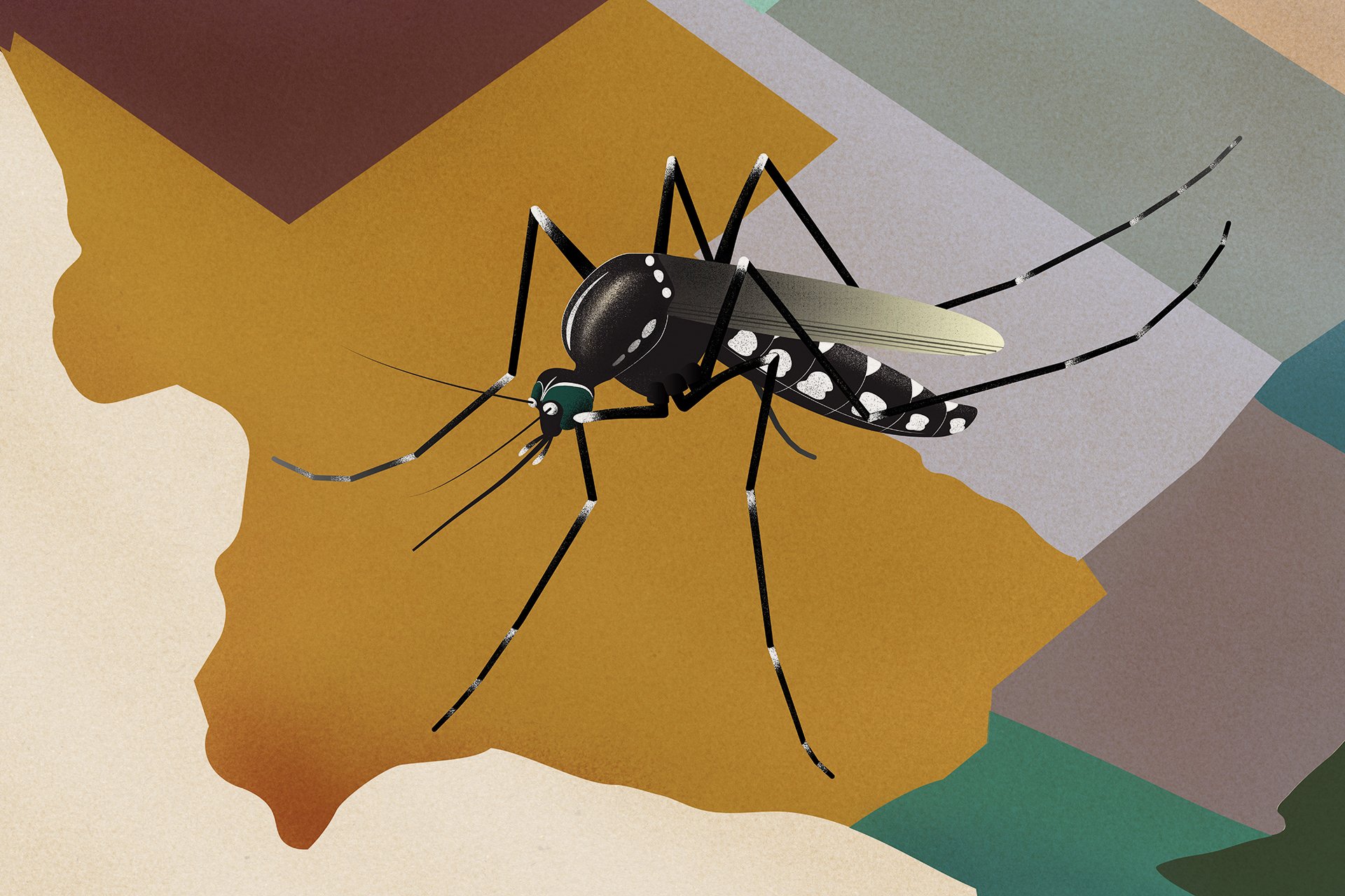 Mosquitoes on the March: Climate, Cities and Travel Drive a Resurgence of Vector‑Borne Diseases in the U.S.