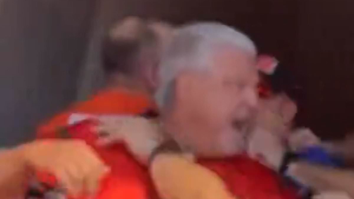 Bengals fans brawl in stands moments after Joe Burrow leaves game with toe injury