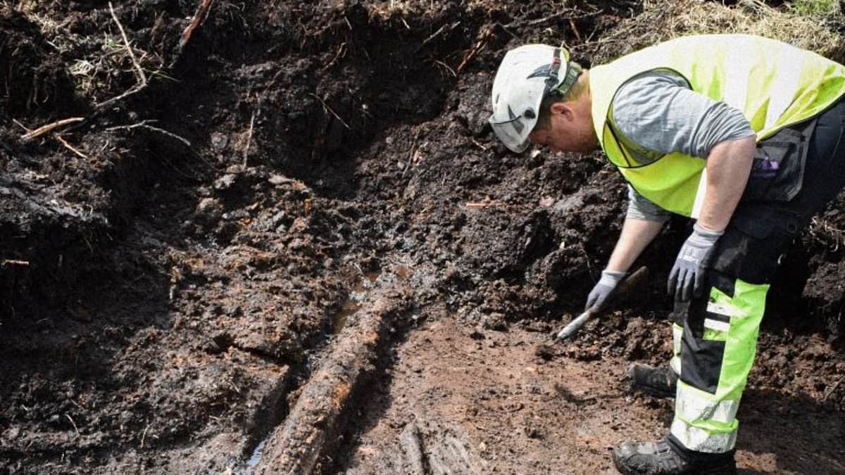 5,000‑Year‑Old Swedish Bog Yields Wooden Trackway, Carved Walking Sticks
