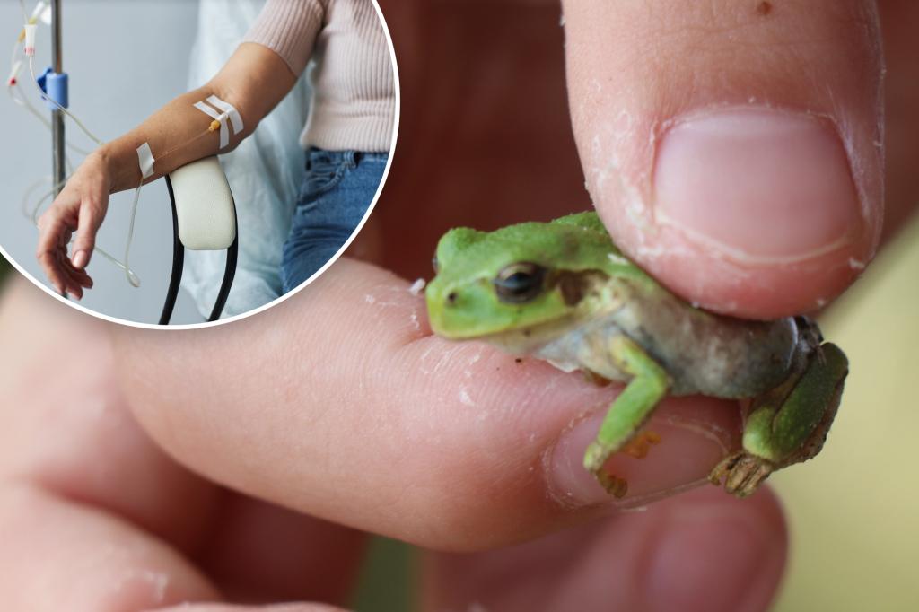 Bacteria from Japanese tree frogs show promise against colorectal cancer in preclinical study