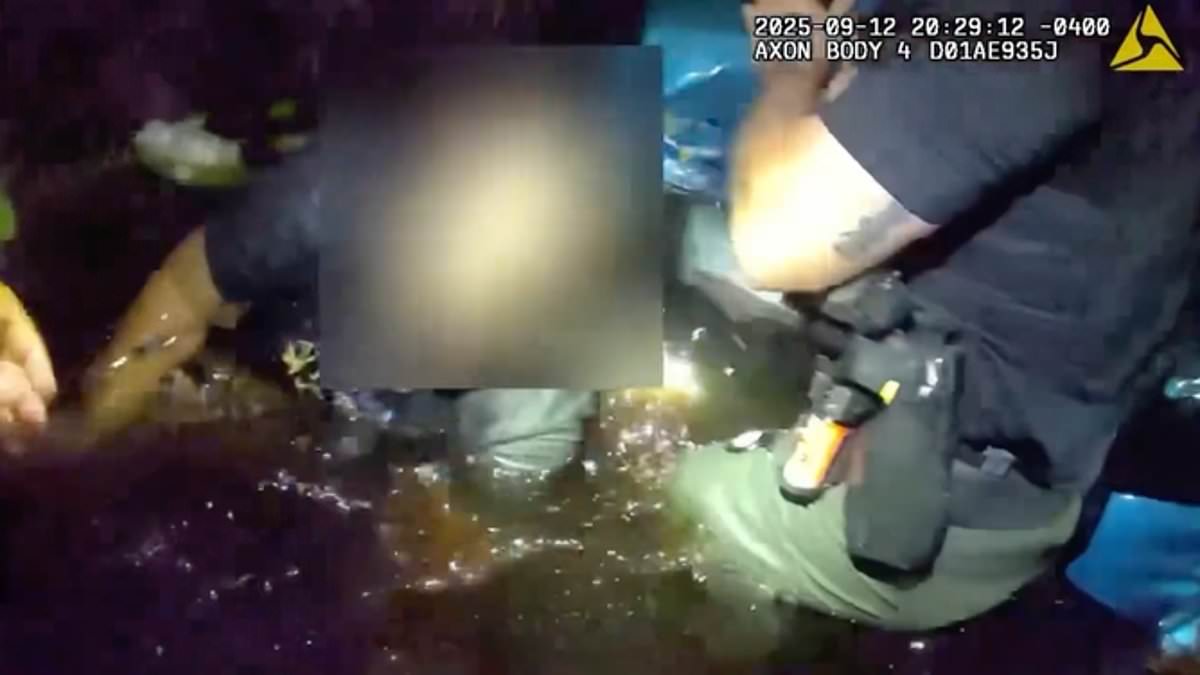 Florida couple rescued from sinking car after late-night crash in Martin County canal