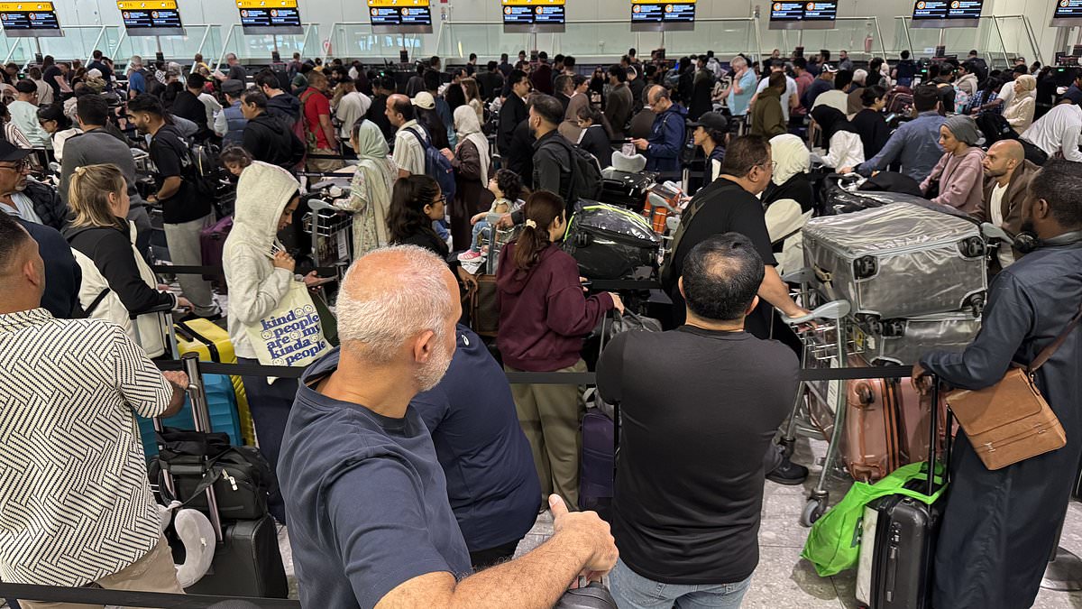 Heathrow cyber attack could have been carried out by hostile state, expert warns