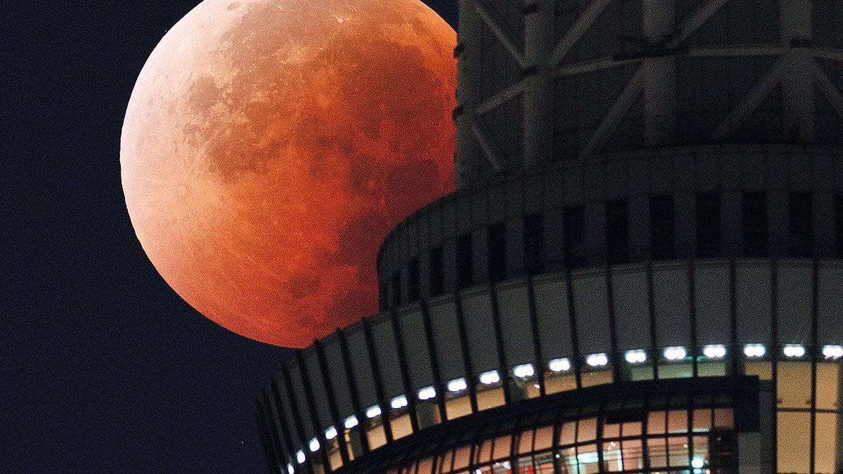 Total 'Blood Moon' seen around the world; next partial lunar eclipse set for Aug. 28, 2026