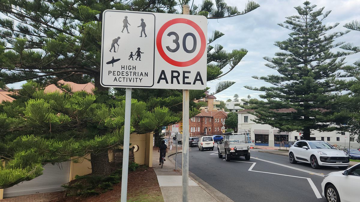 Sydney mayor backs 30 km/h speed limit for CBD as transport authority resists