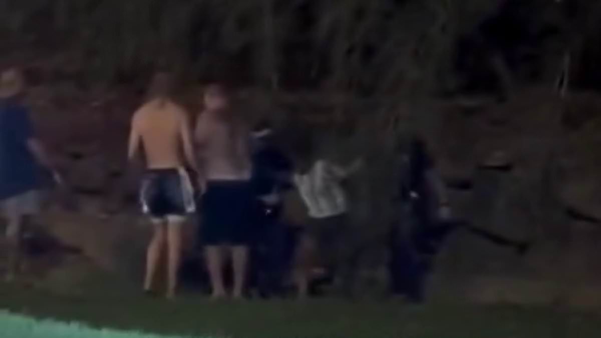 Cairns assault: Three men filmed attacking 14-year-old girl; teen arrested at scene as police pursue Mount Sheridan case