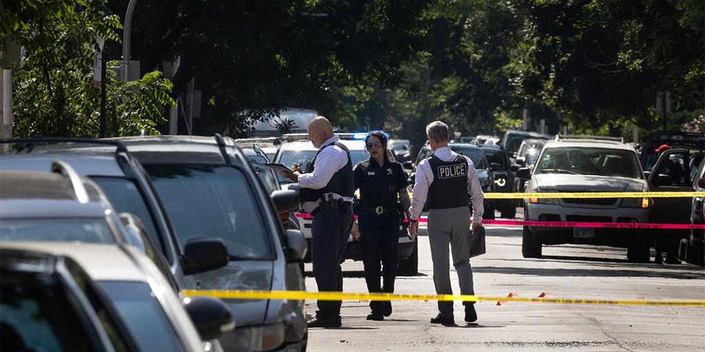 Brother of Chicago murder victim blasts ex-mayor Lightfoot over 'manufactured' crime crisis