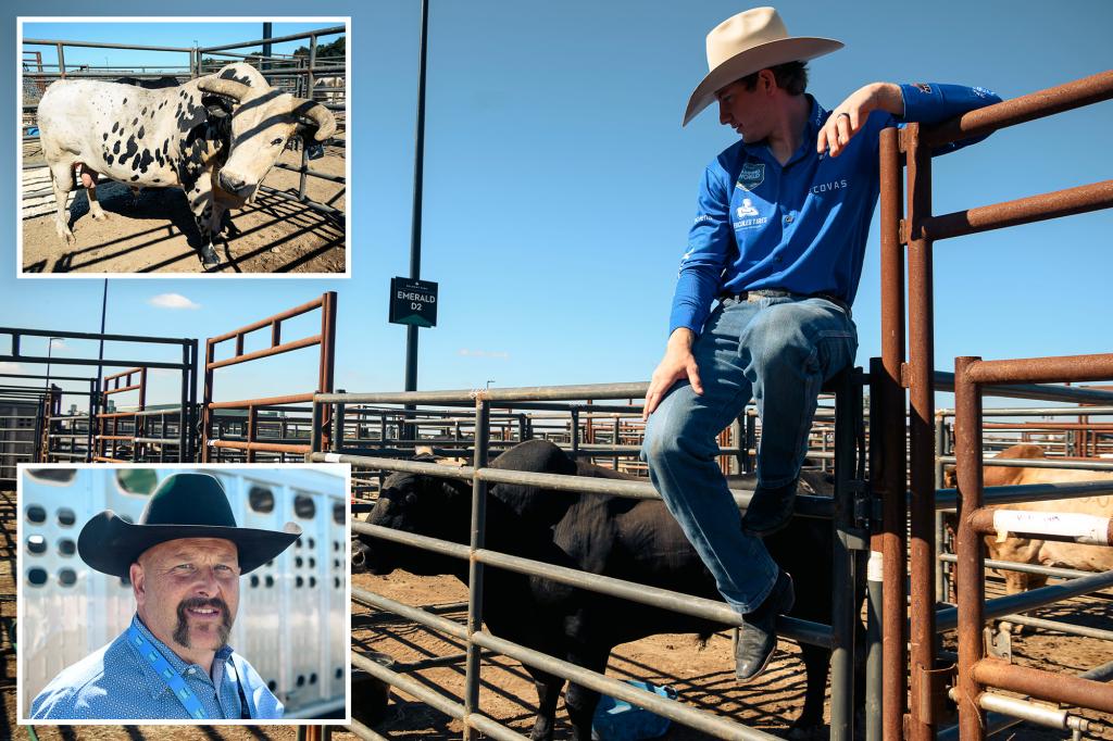 PBR debuts at UBS Arena as bulls treated like elite athletes