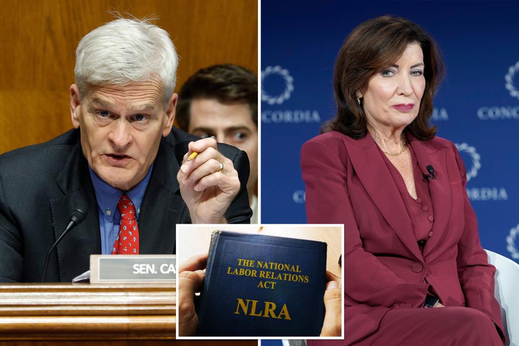 Cassidy accuses Hochul of undermining workers’ rights with New York labor-law move