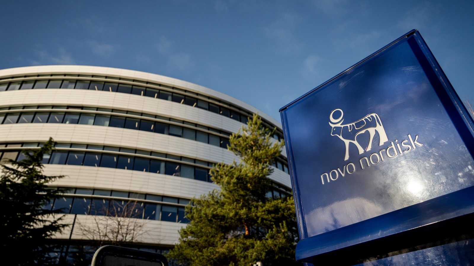 Novo Nordisk to cut 9,000 jobs as obesity drug market grows more competitive