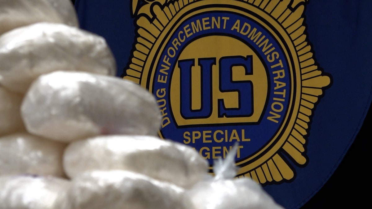 DEA cartel bust seal