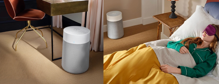 Blueair purifier app and controls