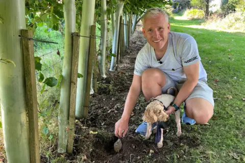 Truffle hunter uses a dog to locate fungus beneath hazel trees