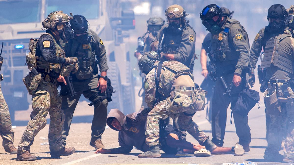 DHS alleges veteran assaulted ICE agents after criticizing arrest; he disputes the charge