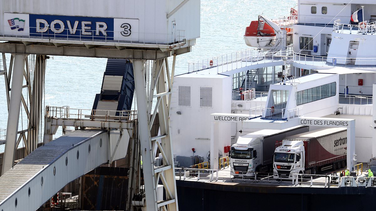 MPs warn smuggled meat is driving surge in foodborne illness, call it biggest food safety crisis since 2013