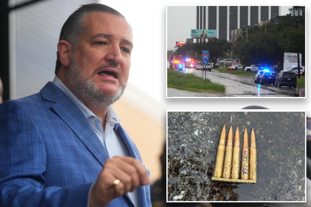 Cruz urges politicians to stop demonizing ICE and CBP after Dallas shooting