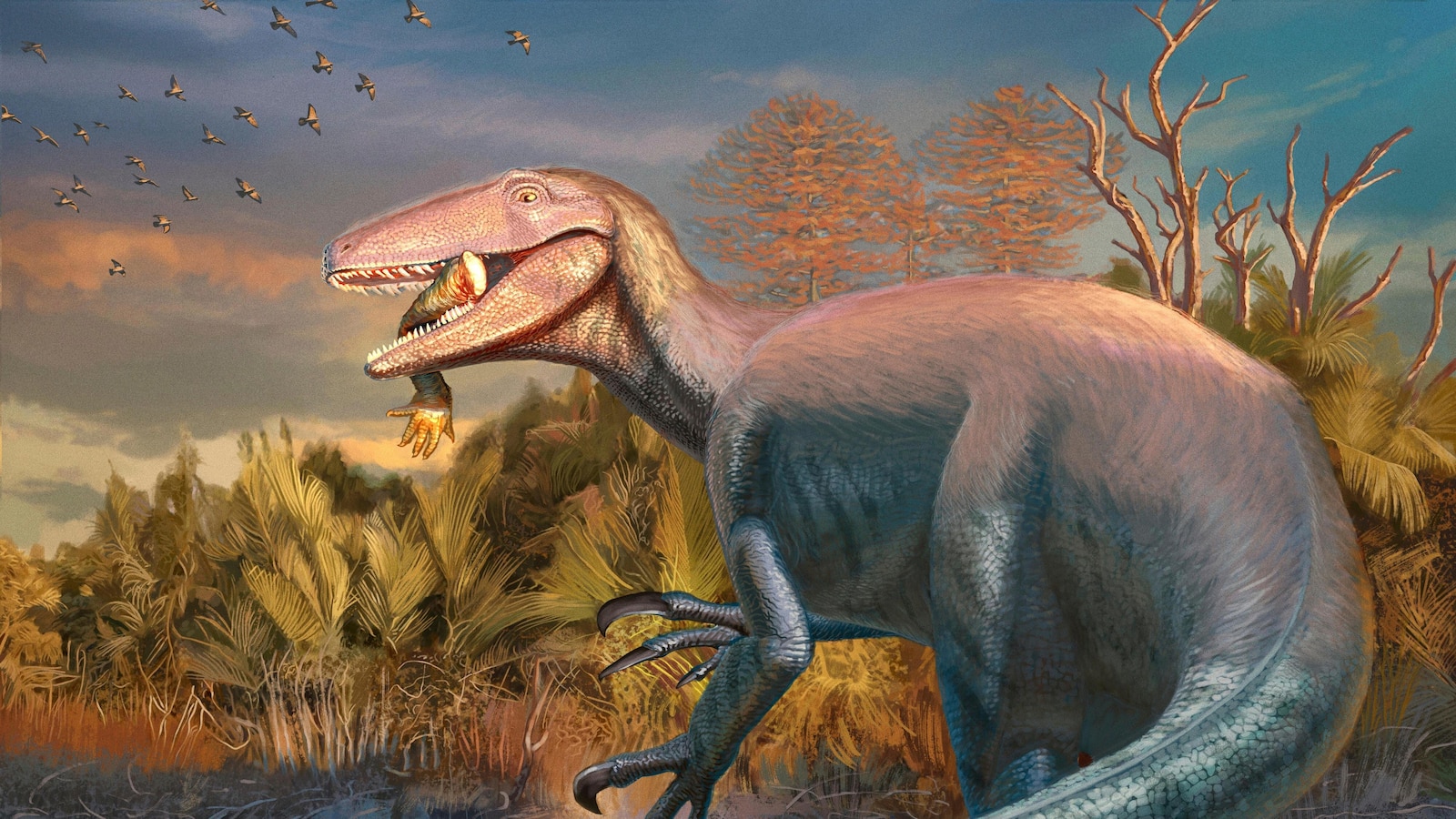 New Megaraptor Dinosaur from Argentina Found With Crocodile Bone in Its Mouth