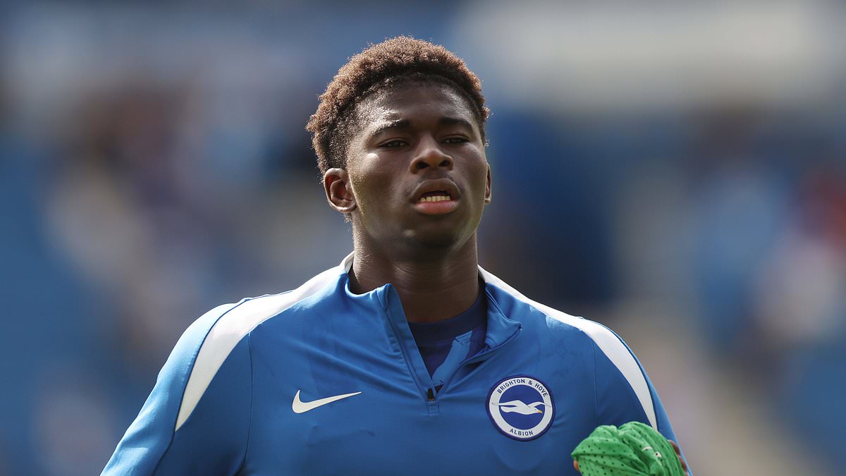 Brighton boss Hurzeler says Carlos Baleba needs time after Man United links