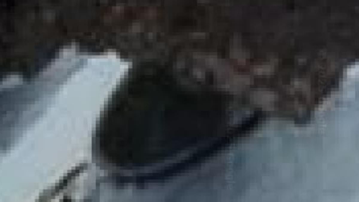 Google Maps image shows disc-shaped object under Antarctic cliff; users call it a 'UFO'