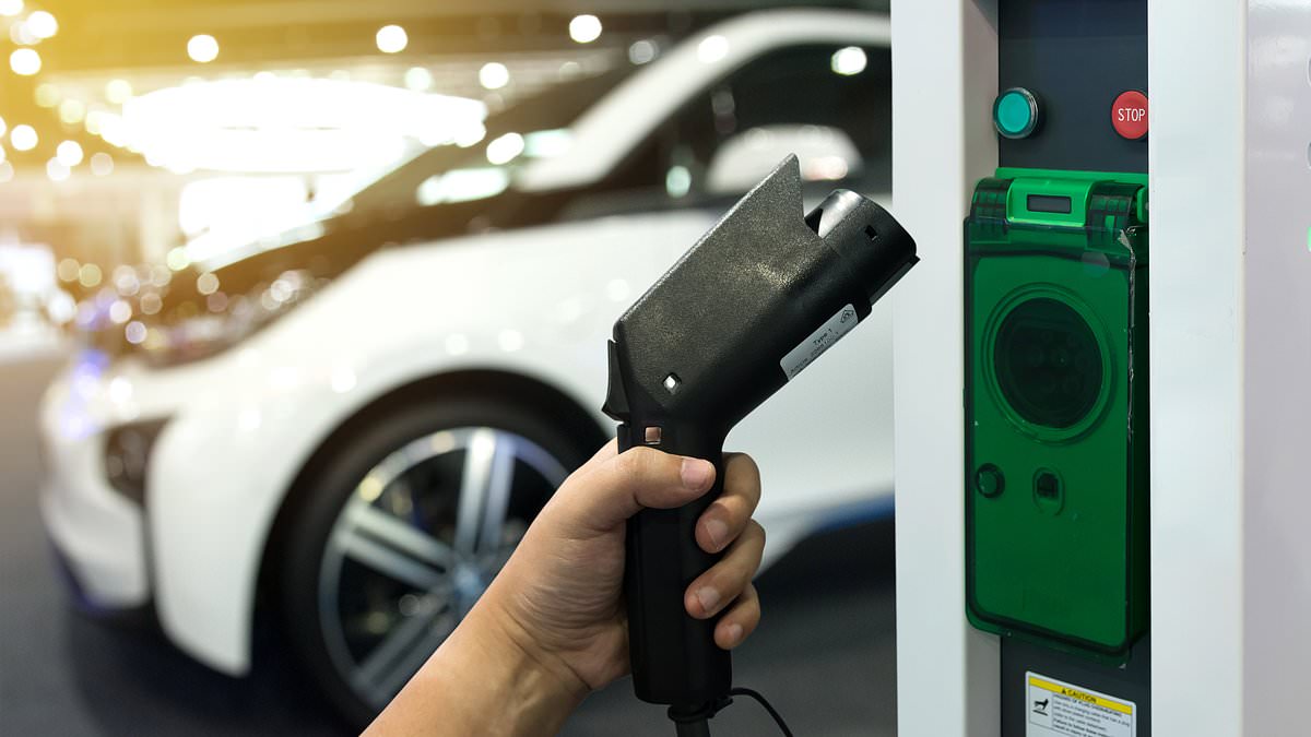 Shortfall in public chargers slows UK electric vehicle uptake, industry warns