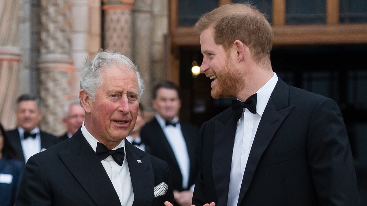 Harry slams 'men in grey suits' as reconciliation with Charles stalls