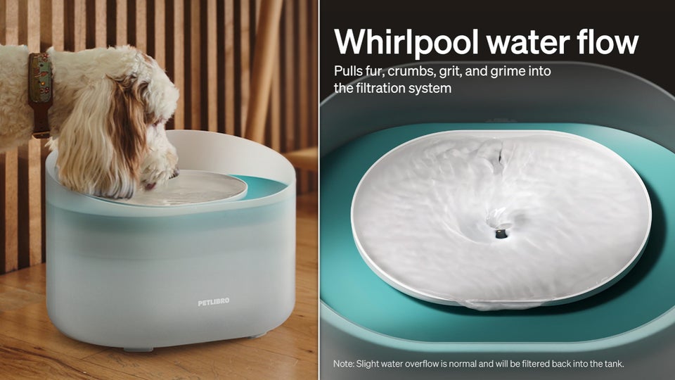 Pet fountain end image