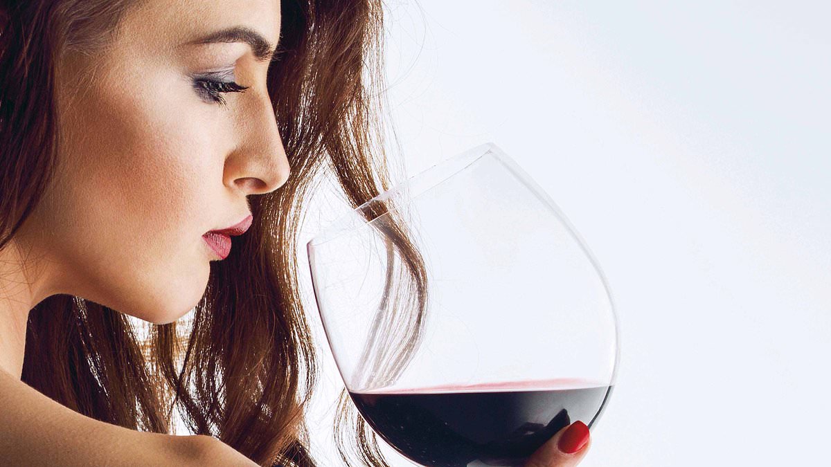 Grey area drinking: Experts warn routine consumption can harm health even without alcoholism