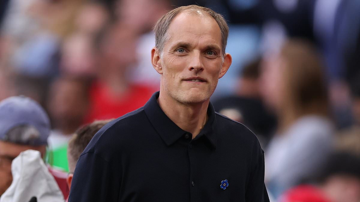 Troy Deeney calls Thomas Tuchel 'immature and stupid' over Ivan Toney omission