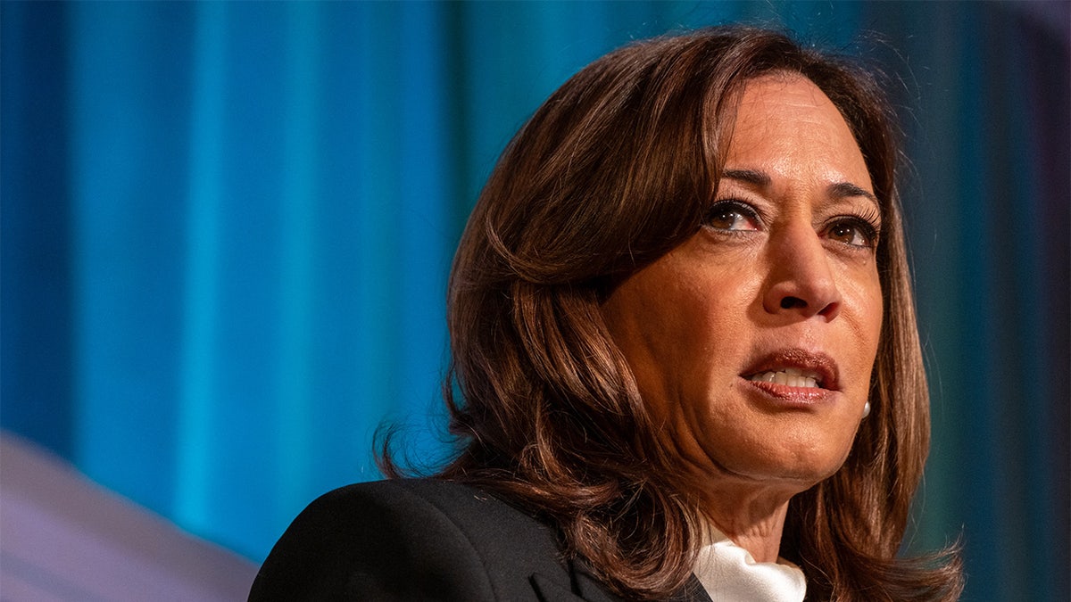 Harris calls Trump a ‘tyrant,’ assails ‘feckless’ CEOs in MSNBC interview ahead of memoir release