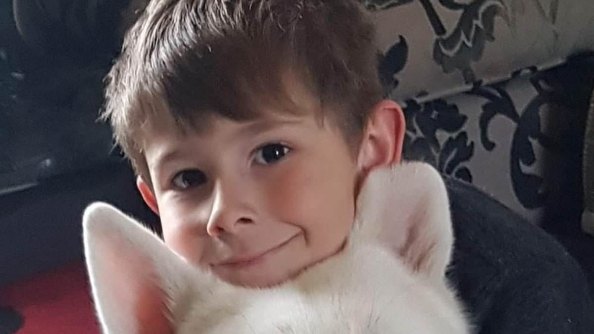 High Court rules £100,000 fund for late boy with brain cancer must go to DIPG charities, not his sister