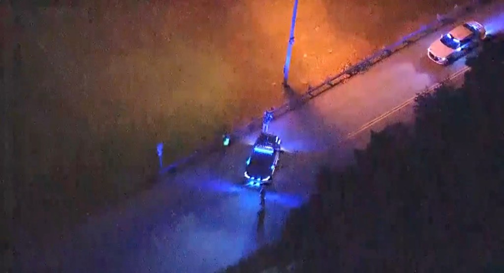 Nashua police activity