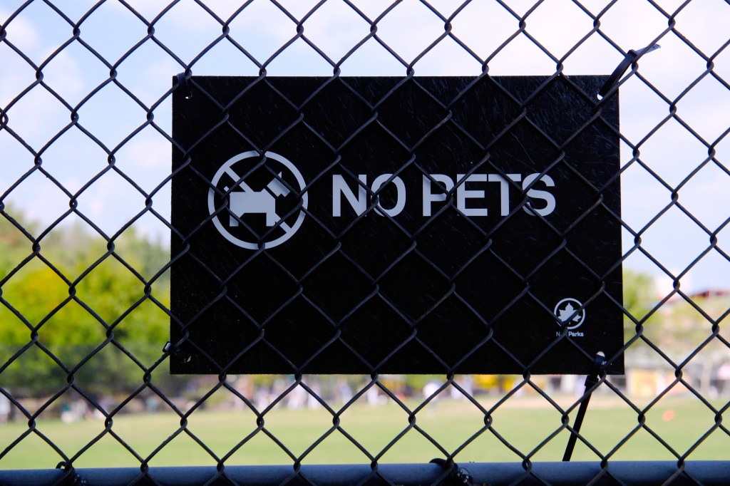 Youth players on a baseball field with patches of dirt and worn grass