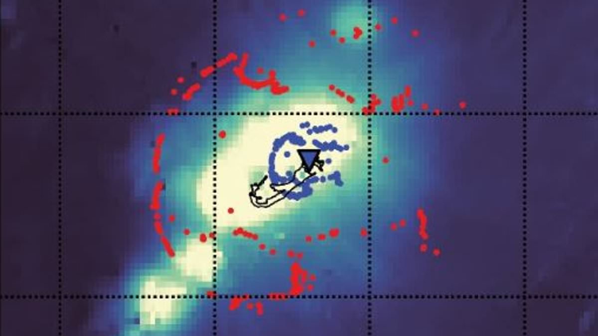 Seismic study reveals giant hidden rock raft beneath Bermuda