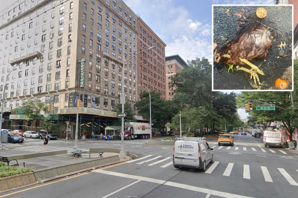 Pair of dead chickens found on NYC block for second time in four months, fueling ritual-suspect chatter