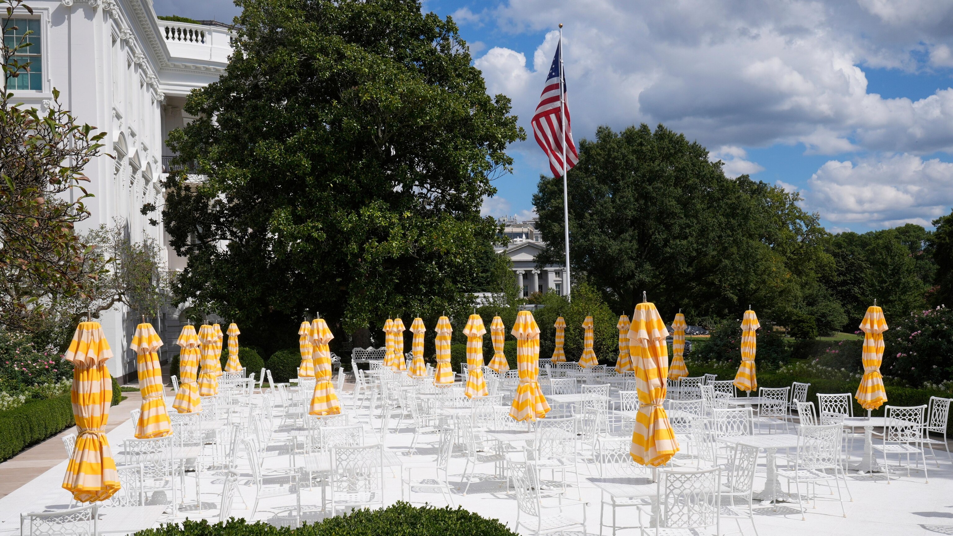 Trump Hosts Top Tech CEOs at White House Dinner; Musk Not Invited