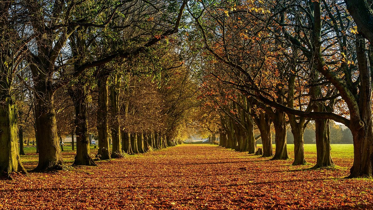 Autumn Equinox Signals Start of Season as Day and Night Near-Equal