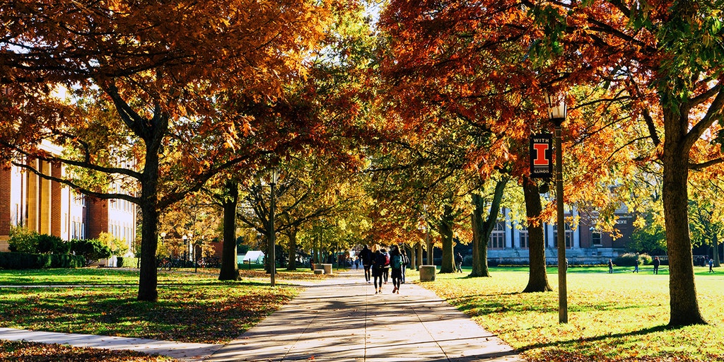 Leaked UIUC education materials show emphasis on race, class and belonging in future-teacher training