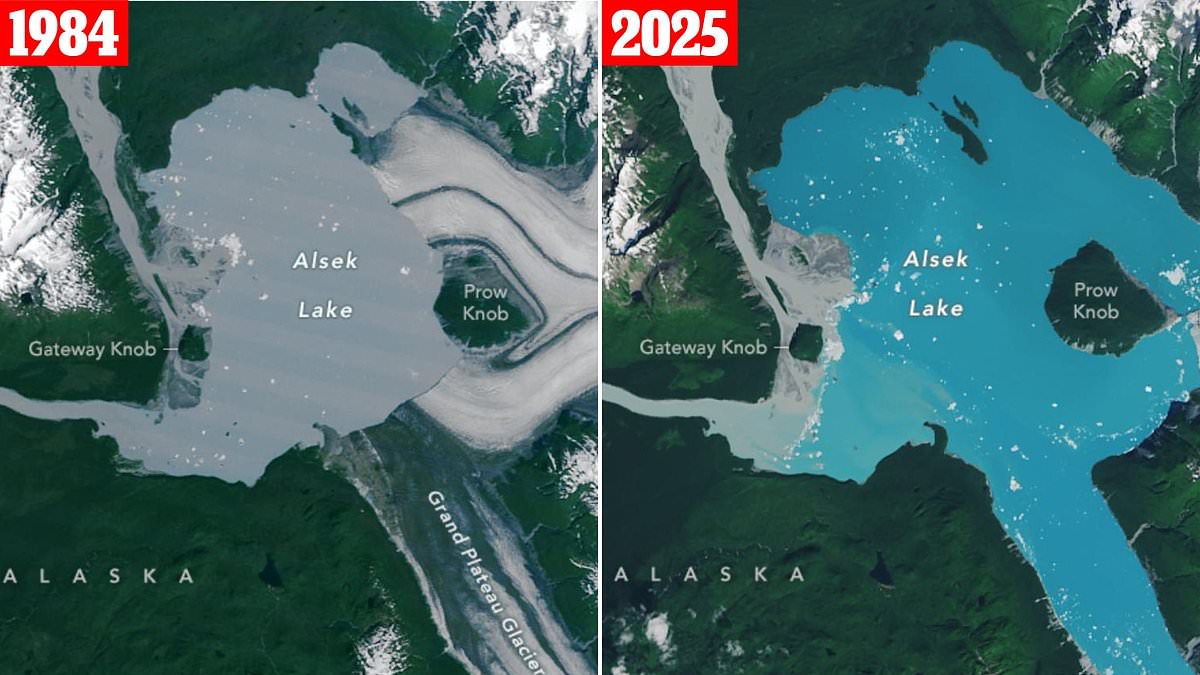 NASA images show new Alaskan island as Alsek Glacier retreats, agency says warming to blame