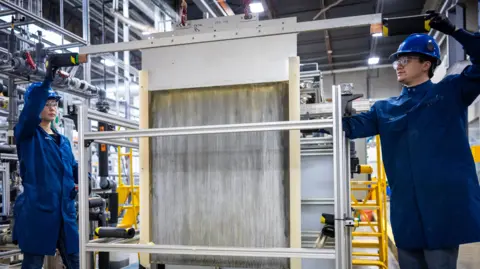 View of the experimental plant area