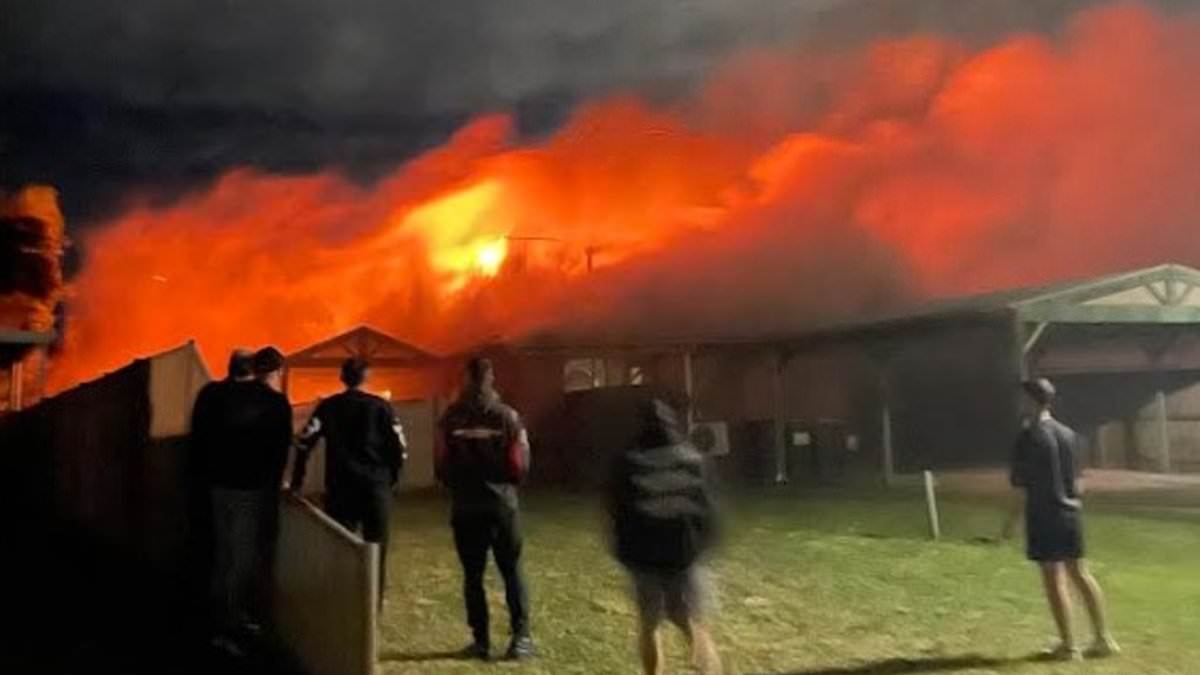 Woman charged after Sydenham house fire that killed two children granted bail