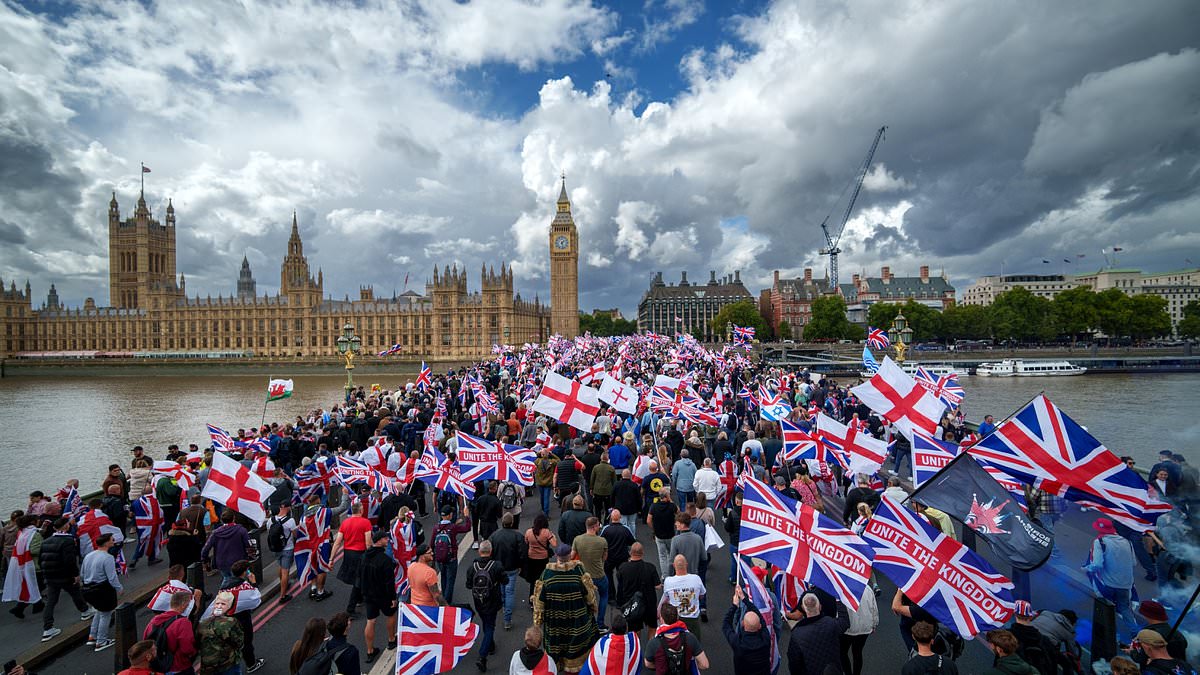 Columnist Condemns 'Unite the Kingdom' Rally After Violence in Westminster