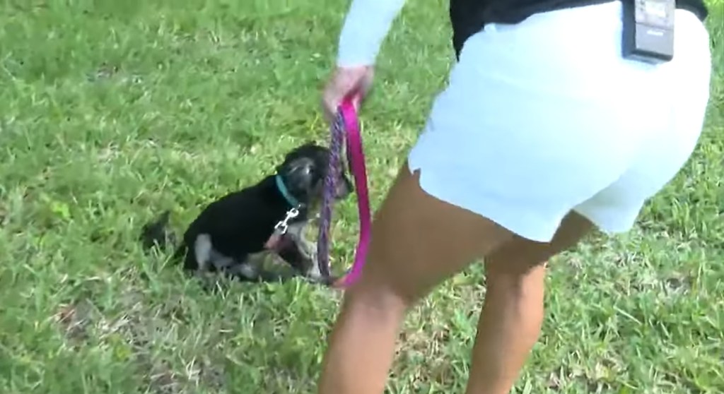 Woman with dog after rescue