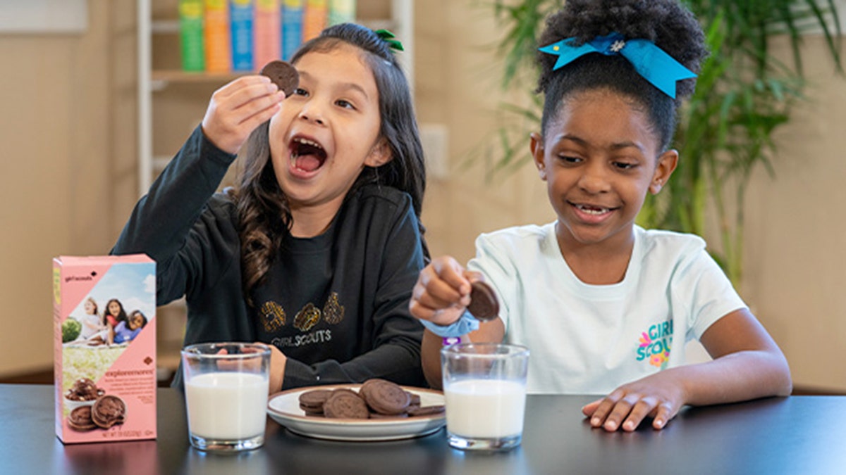 Girl Scouts to Introduce 'Exploremores' Cookie as Sales and Membership Strain Finances