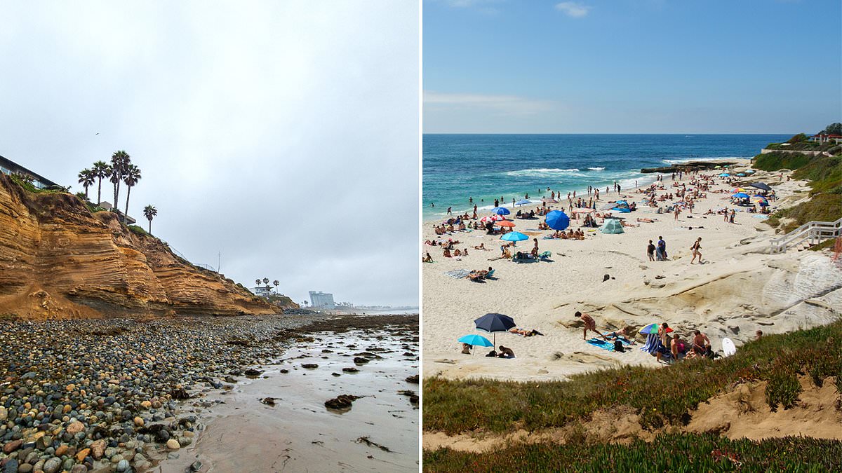 San Diego Coastal Plan Spurs Debate as City Moves From Seawalls to Nature-Based Defenses