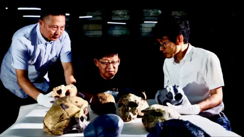 Overview of skulls including Yunxian 2