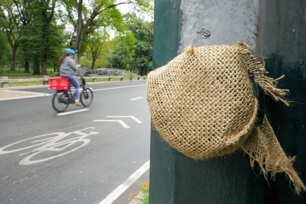 Central Park Drive with mixed traffic