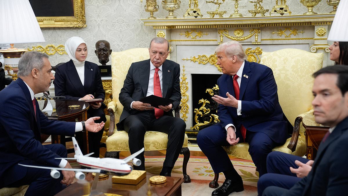 Trump presses Erdoğan to curb Russian oil imports in Oval Office meeting