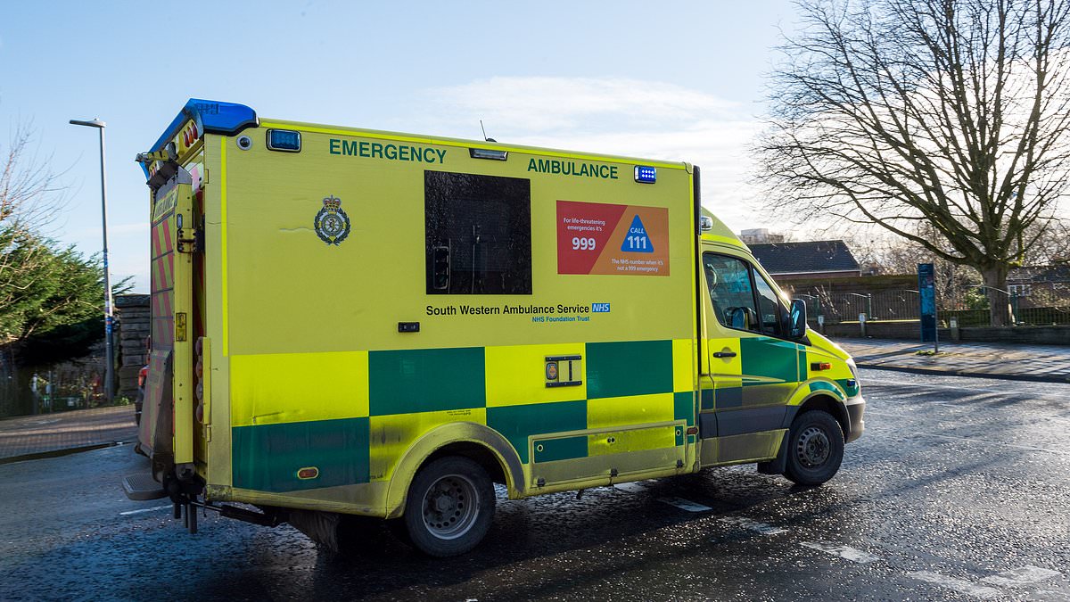 Two Ambulance Workers Arrested in Wiltshire Manslaughter Probe