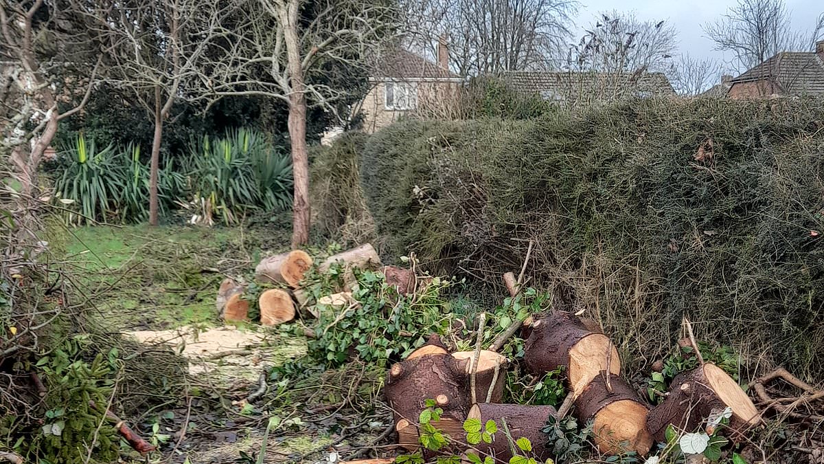 Gang of rogue traders jailed for swindling pensioner £36k and leaving his garden in a terrible mess